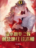 离婚冷妻小说