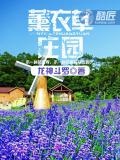 薰衣草庄园图片